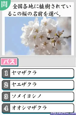 Snapshot